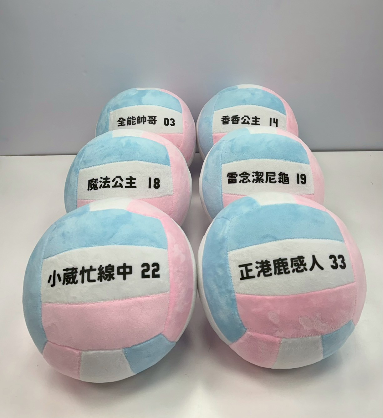 絨毛大球 - 台體校女排